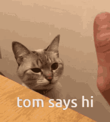 Tom Tom Says Hi GIF - Tom Tom Says Hi GIFs