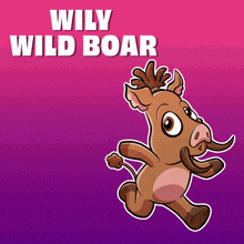 a cartoon of a wild boar with the words wily wild boar behind it