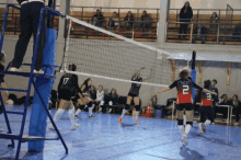 Vb Eirini GIF - Vb Eirini Volleyball GIFs