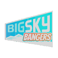 Big Sky Conference College Football Sticker - Big Sky Conference Big Sky College Football Stickers