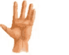 Pointing Directions GIF - Pointing Directions GIFs