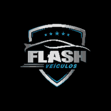 flash3d logo flash