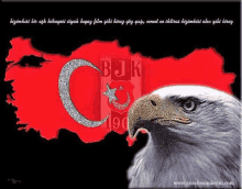 turkey eagle flag