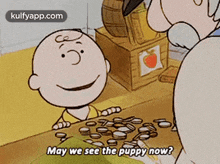 May We See The Puppy Now?.Gif GIF - May We See The Puppy Now? Text Plant GIFs