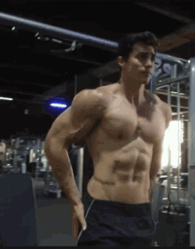 Musculos GIF - Musculos GIFs