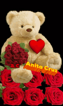 a teddy bear holding a red heart with the name anita cruz on the bottom