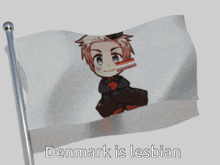 a flag that says denmark is lesbian with a picture of a boy