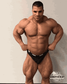 hassan mostafa muscle morph posing