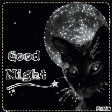 Goodnight Black GIF - Goodnight Black Cat GIFs