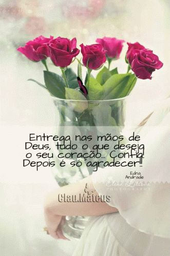 Bom Dia Good Day GIF - Bom Dia Good Day Good Morning - Discover