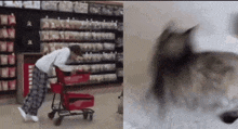 a person pushing a shopping cart in a store next to a dog