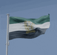 a green white and black flag with a gold emblem