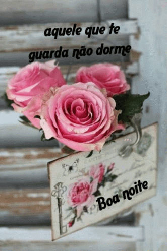 Boa Noite Pink Rose GIF - Boa Noite Pink Rose Quote - Discover & Share GIFs
