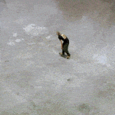 a skateboarder is doing a trick in a skate park with skateboards hanging on the wall
