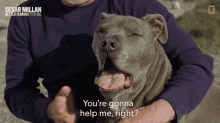 Youre Gonna Help Me Right Cesar Millan Better Human Better Dog GIF