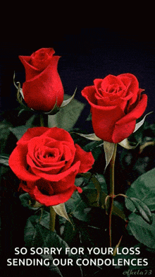 Roses Flowers GIF