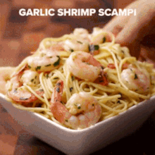 garlic shrimp scamp spaghetti pasta