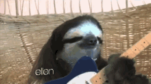 Sloth Love GIF - Sloth Kristen Bell Ellen GIFs