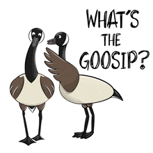 Whats The Gossip Animals GIF - Whats The Gossip Animals Bare Tree Media GIFs