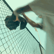 Jump Over The Fence State Champs GIF