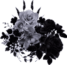 b%C3%B6be giffjei black and white flowers bunch love to you