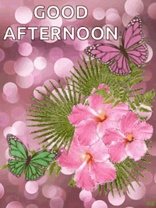 Good Afternoon Greetings GIF - Good Afternoon Greetings Pink GIFs