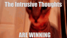 The Intrusive Thoughts Are Winning I Am Going Insane GIF - The Intrusive Thoughts Are Winning Intrusive Thoughts I Am Going Insane GIFs