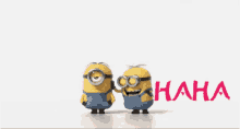 laugh minion cute