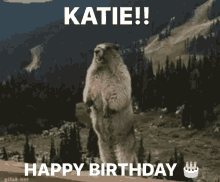 Katie Happy Birthday GIF - Katie Happy Birthday GIFs