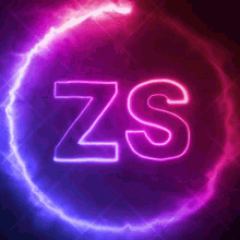 Zs Studios GIF - Zs Studios GIFs