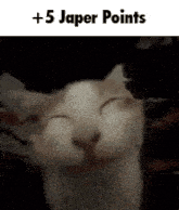 5 Japer GIF - 5 Japer Points GIFs