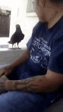 Literally Every Person And Thing Is High Now GIF - Crow Funny GIFs