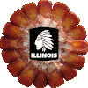 Illinois Corn Sticker - Illinois Corn Maiz Stickers