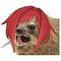 a close up of a sloth with red hair sticking out its tongue