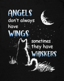 a black shirt that says angels don t always have wings sometimes they have whiskers on it