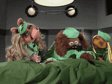 Muppets Muppet Show GIF - Muppets Muppet Show Vetrinarian'S Hospital GIFs