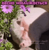 a pig is sniffing purple flowers in a garden with the words " becha " above it