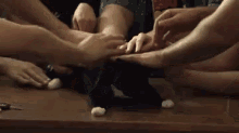 When It'S Your Birthday On Social Media GIF - Cat Petting Like GIFs