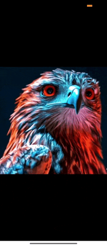 a close up of a colorful eagle with red eyes and a blue beak .