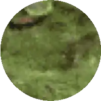 a pixelated image of a circle of grass with a blurred background