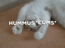 Hummus GIF - Hummus GIFs