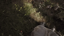 a man is laying on the ground in the grass holding a rifle .