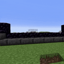 a screenshot of a minecraft game shows a sign that says parrotx2 on it