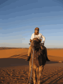 Mi Primer Paseo En Camello Por Merzouga GIF - Mi Primer Paseo En Camello Por Merzouga GIFs