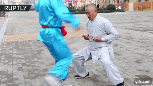 Iron Crotch Kick GIF - Iron Crotch Kick Karate - Discover ...