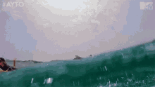 Surfing Paddle GIF - Surfing Surf Paddle GIFs