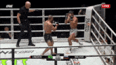 a boxing match between lineker and balyko is being broadcast live on one fight night