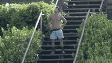 a shirtless man in blue shorts stands on a set of stairs surrounded by trees