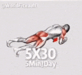 a man is doing a plank exercise with a dumbbell on his head .