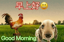 Good Morning Sunrise GIF - Good Morning Sunrise GIFs